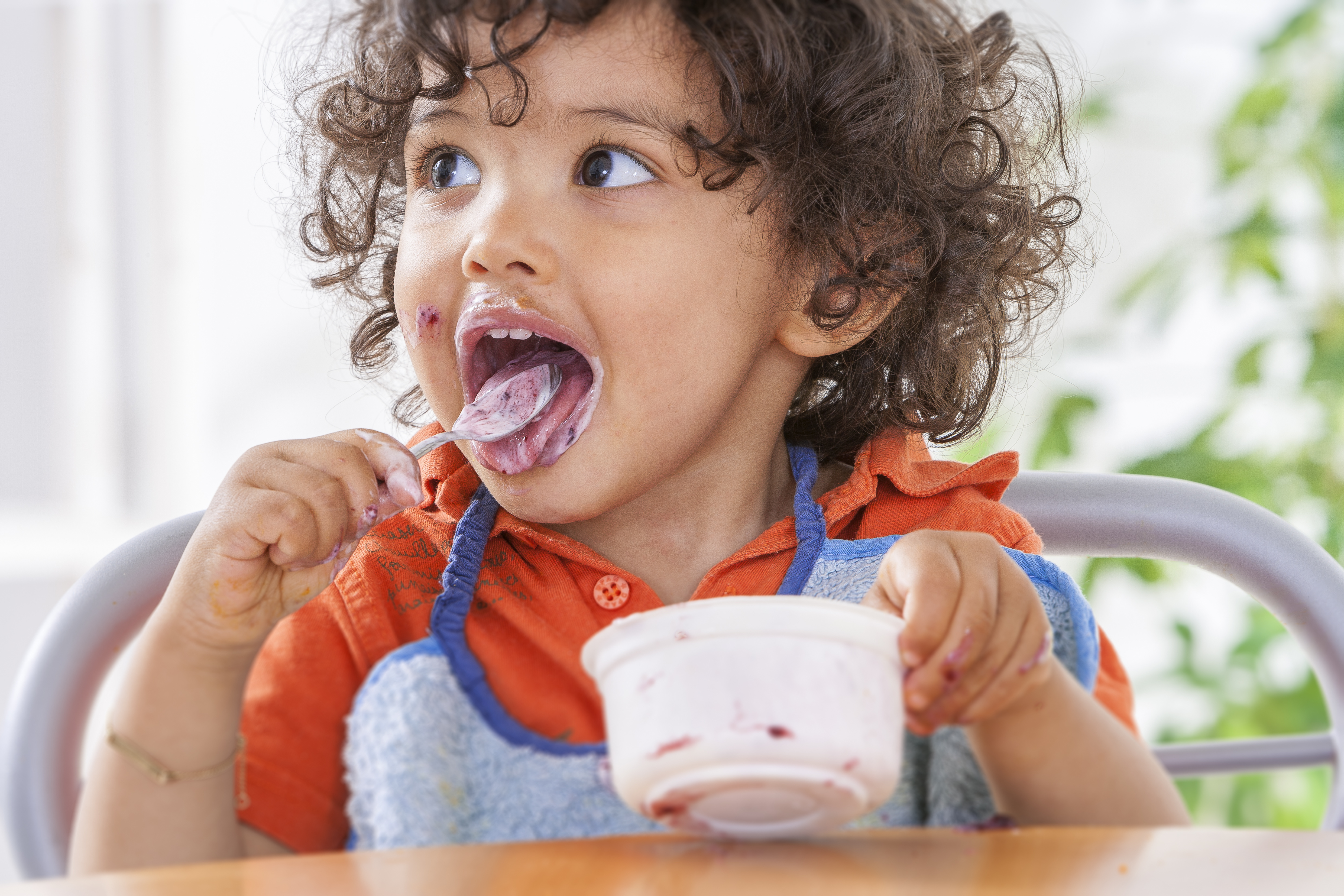 Alimentos y bebidas