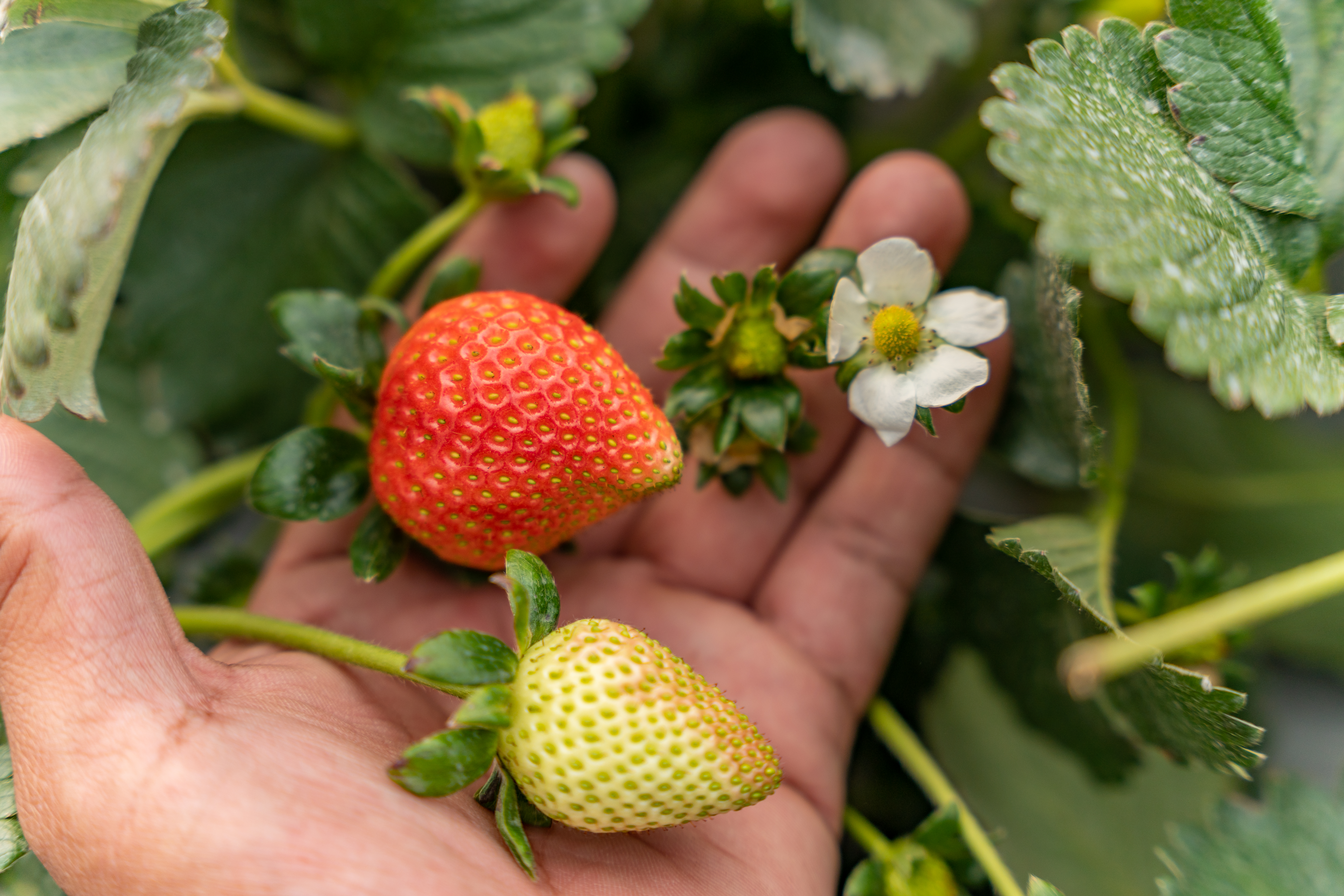 Alimentos y bebidas