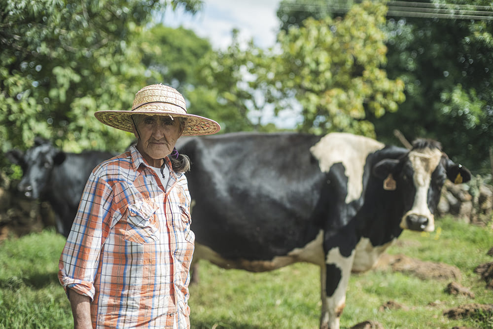 Alimentos y bebidas