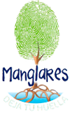 Manglares (4)